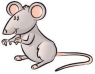 الفئران للتخلص من الألغام الأرضية